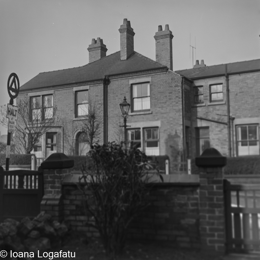 Charming historic neighborhood street
