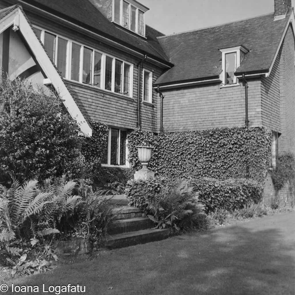 Charming old house embraced by lush greenery