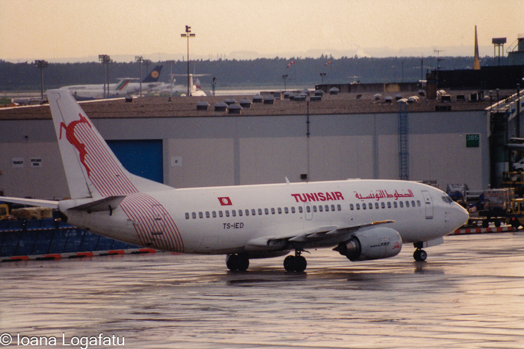 Air travel excitement captured at the airport