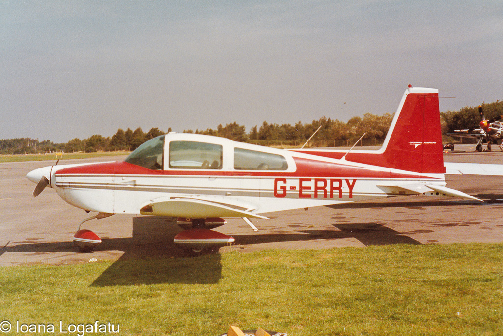 Vintage planes on a sunny runway