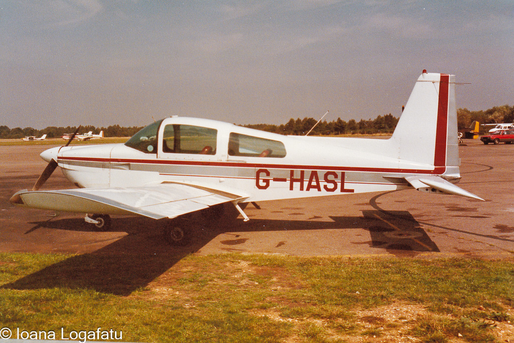Classic planes on a sunny runway