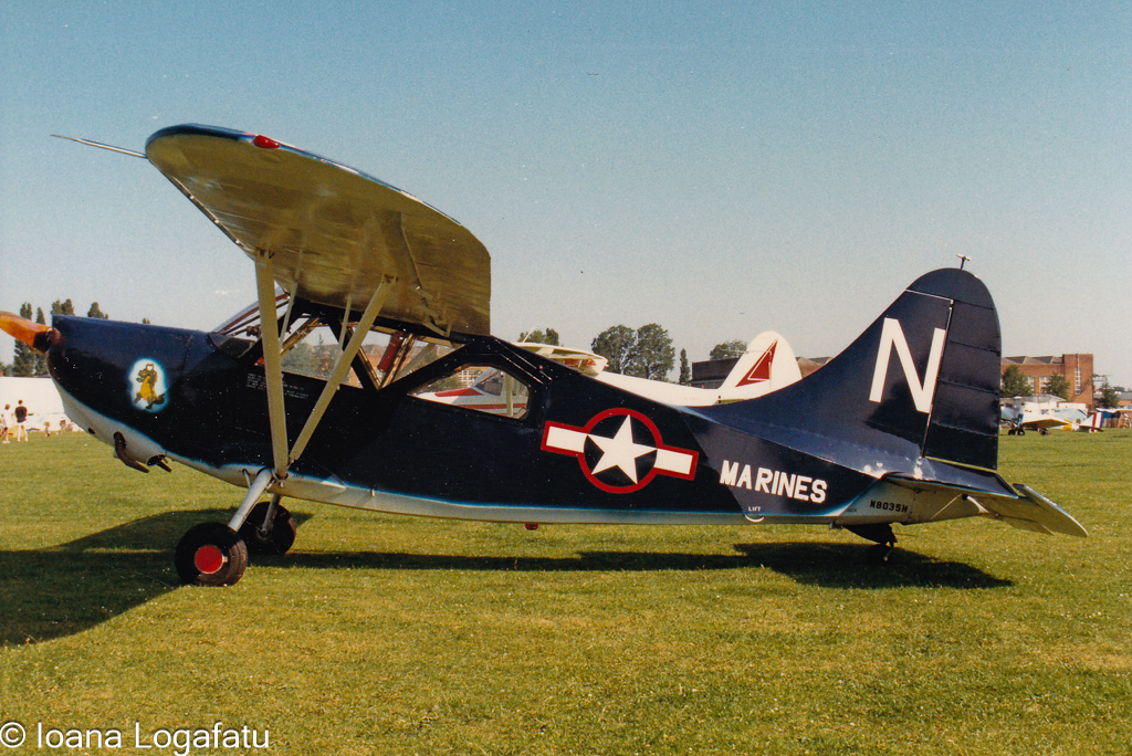 Vintage military planes on grassy field