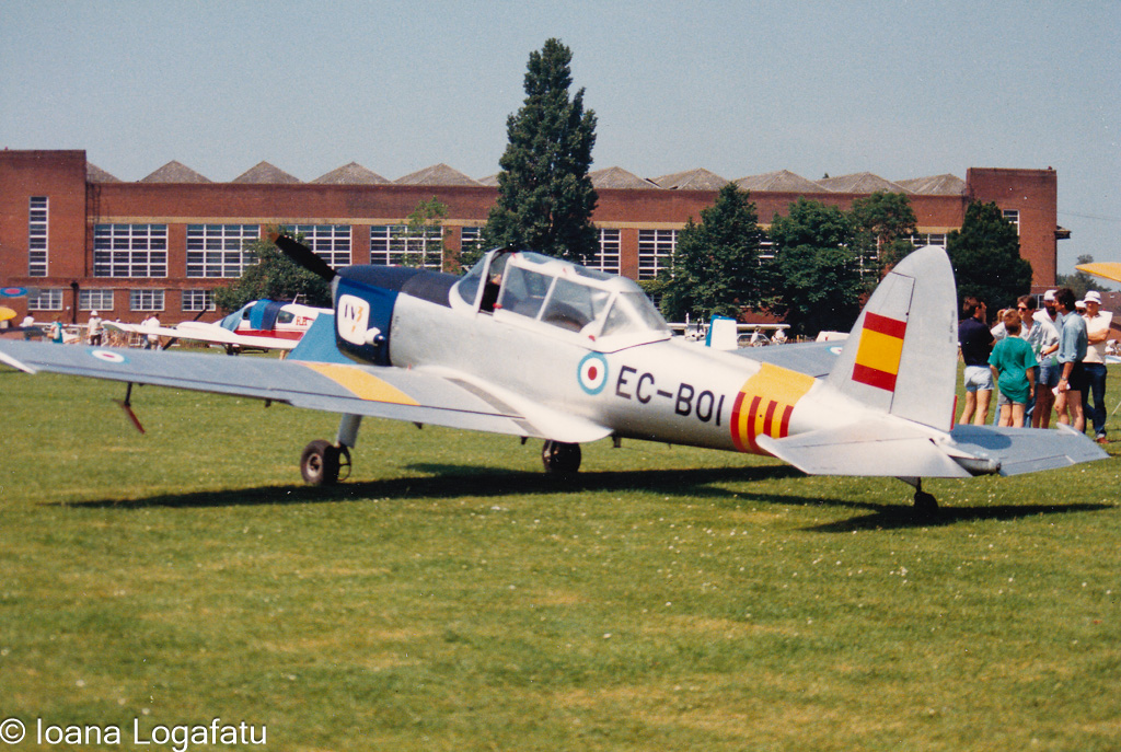 Colorful vintage plane shines at airshow