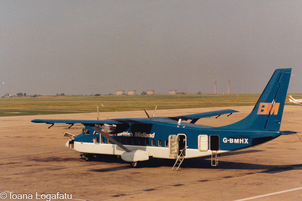 Vintage aircraft on a sunlit tarmac at dusk
