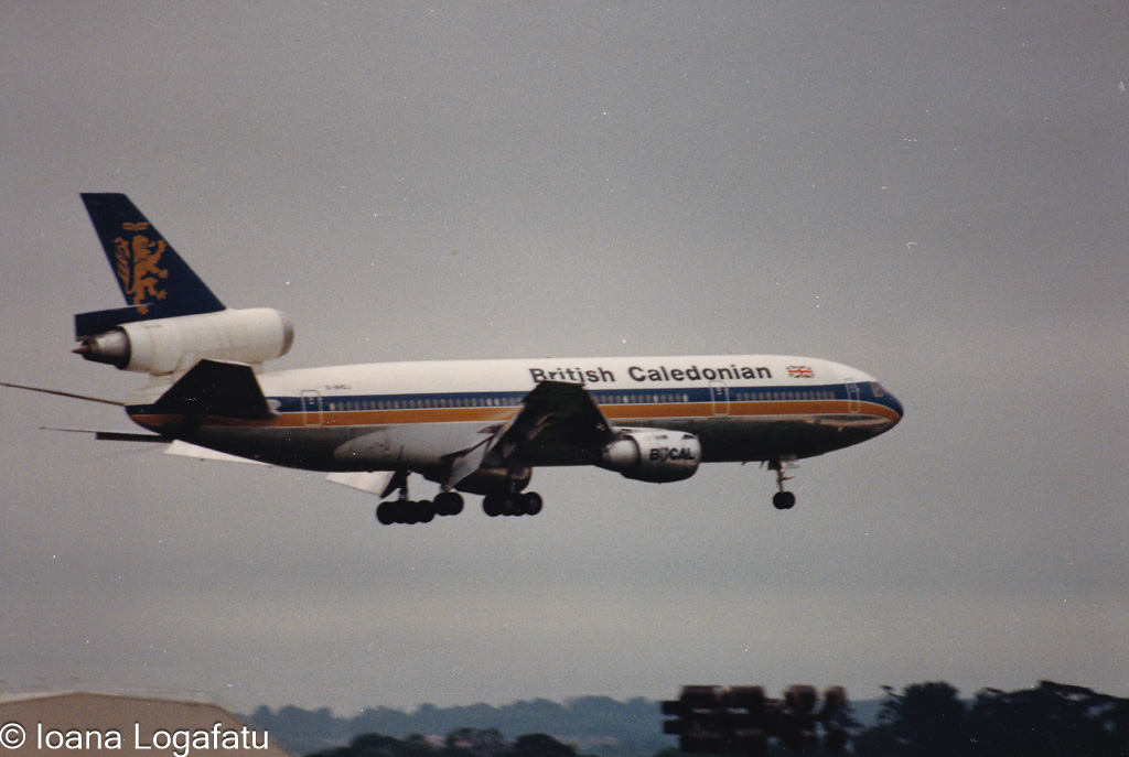 Flying high above the clouds with grace and power