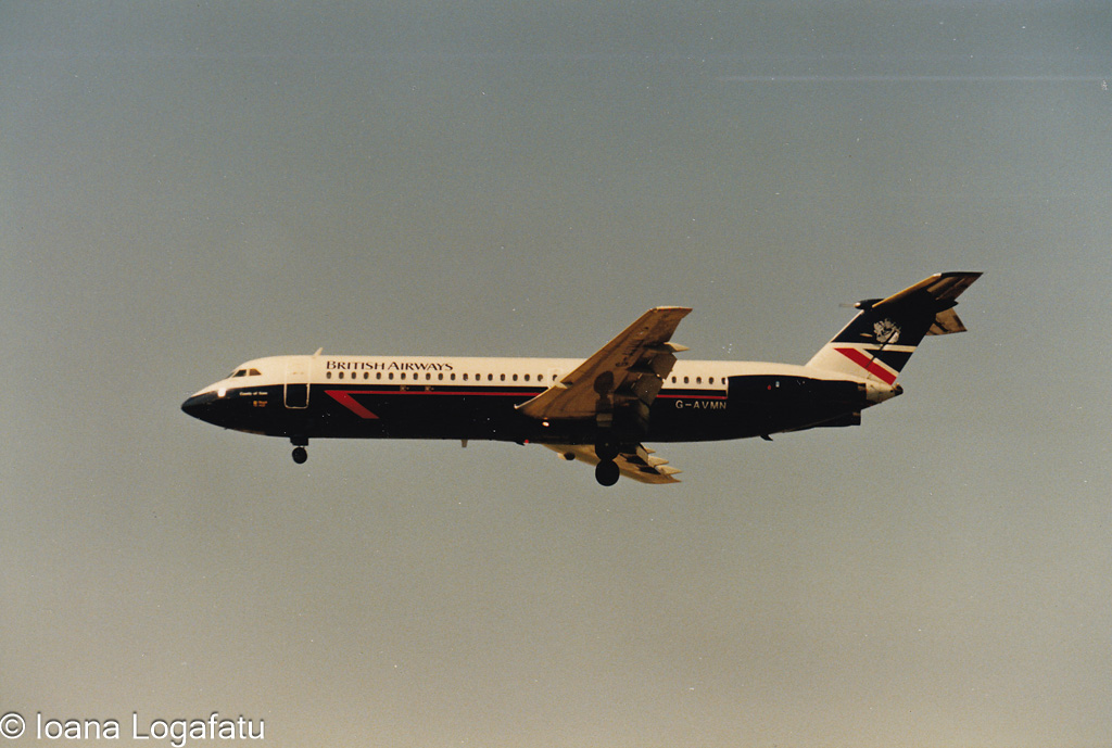 Flying through the sunset with grace and power