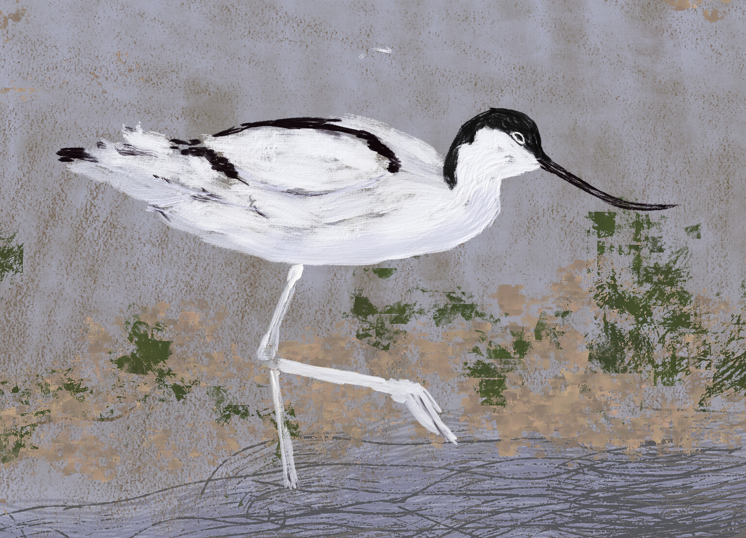 Avocet