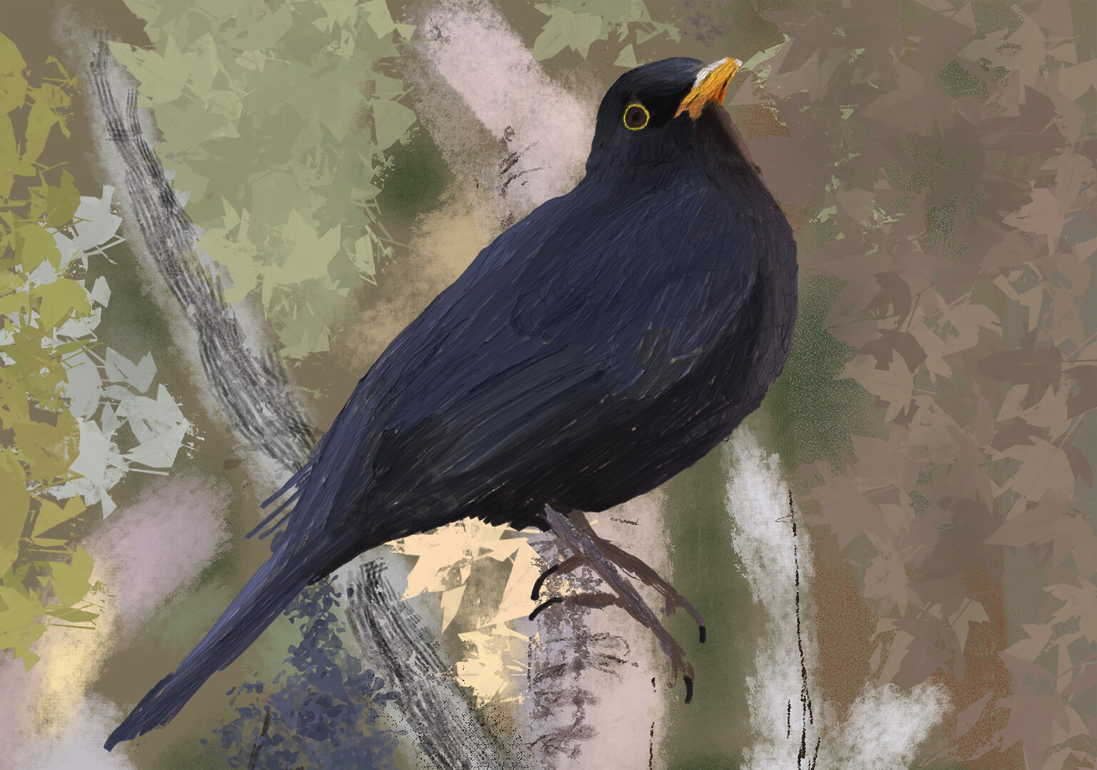 Blackbird
