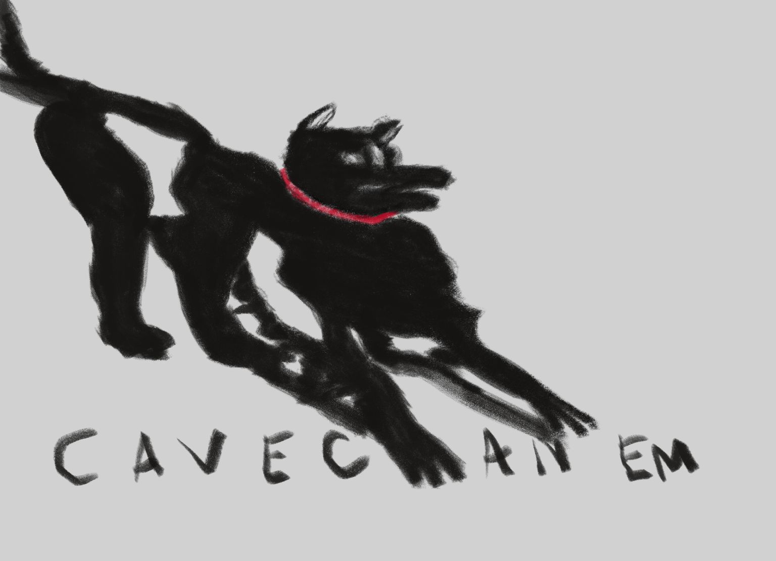 CaveCanem