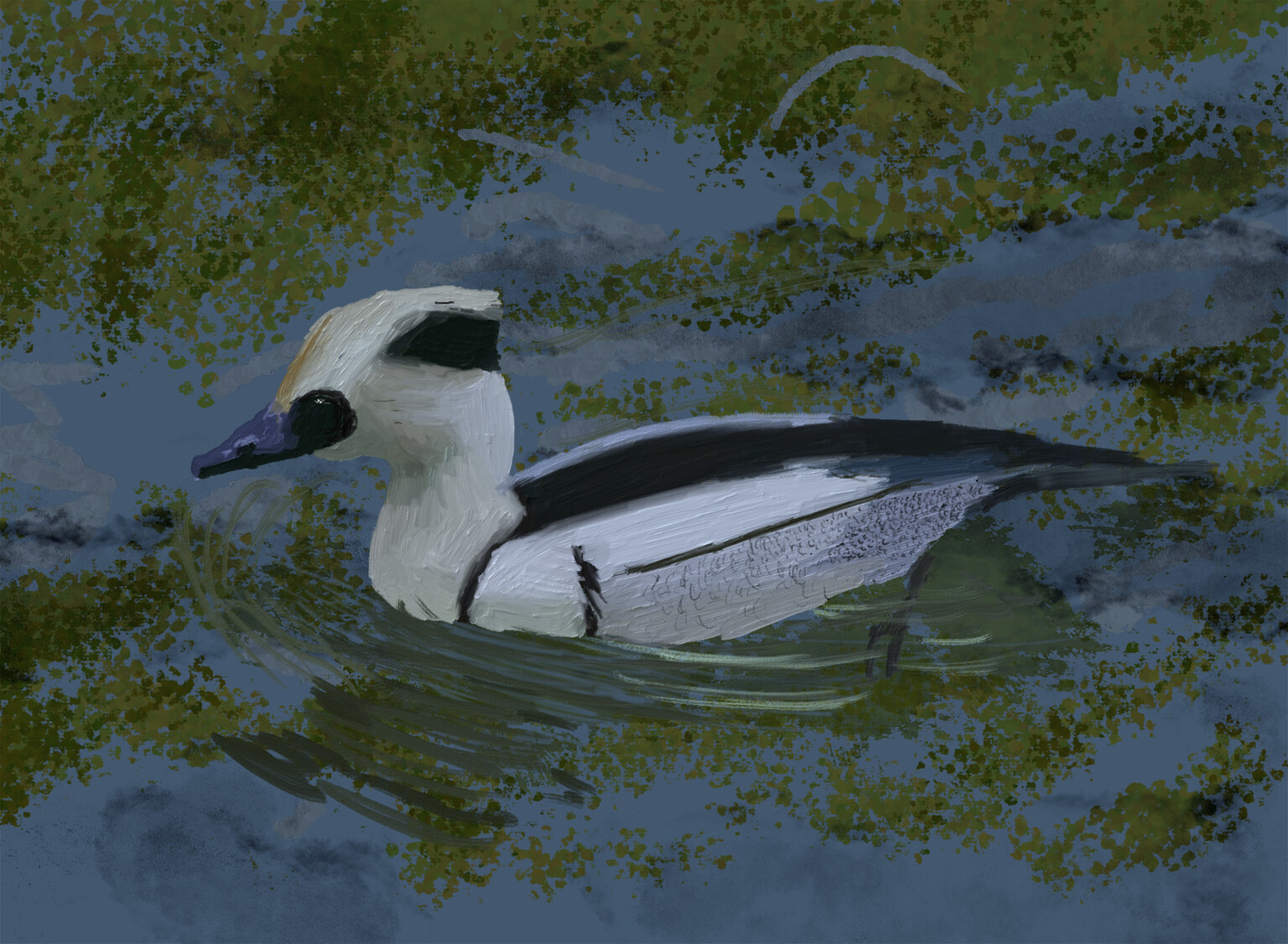 Smew