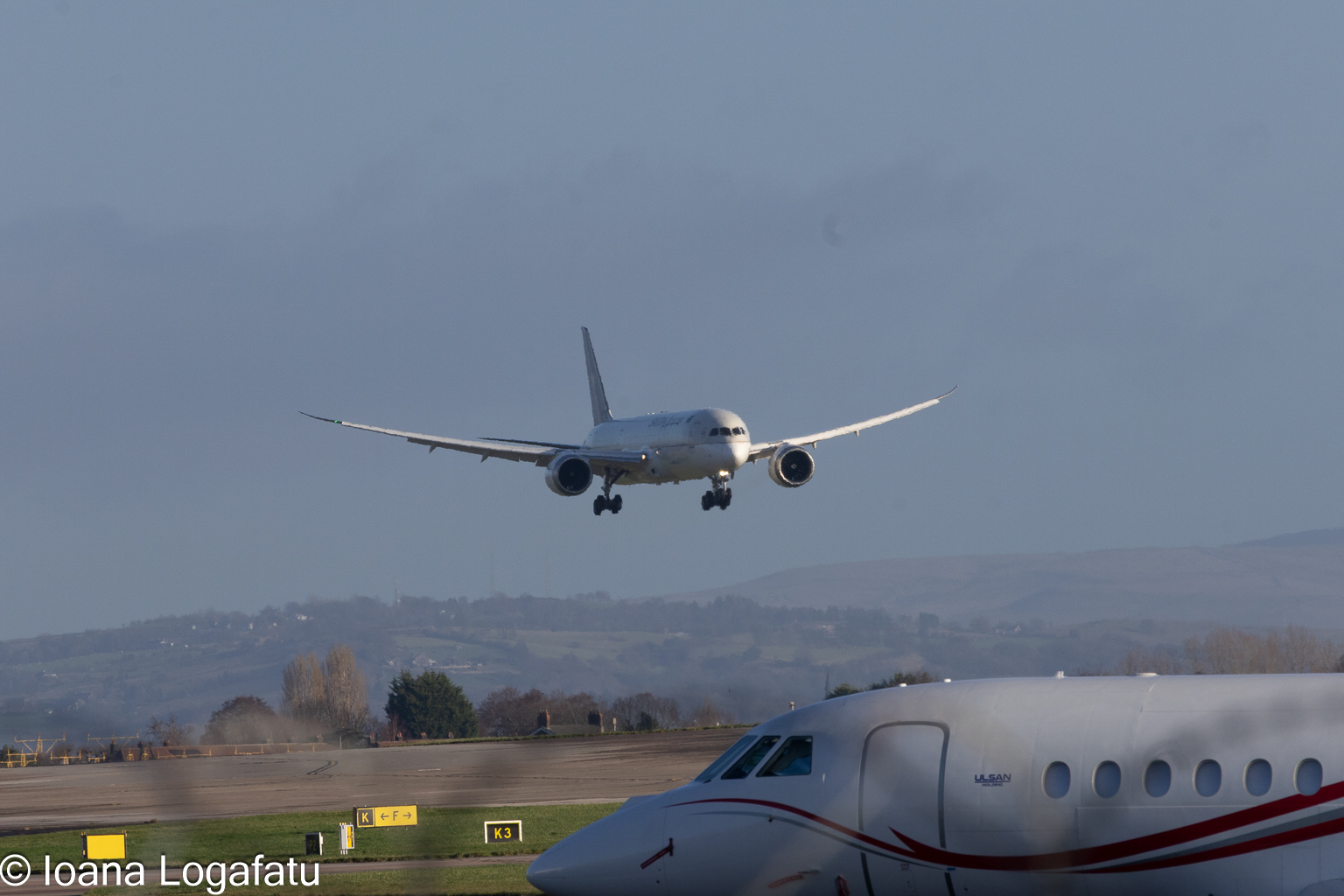 Airborne marvels glide gracefully through the sky