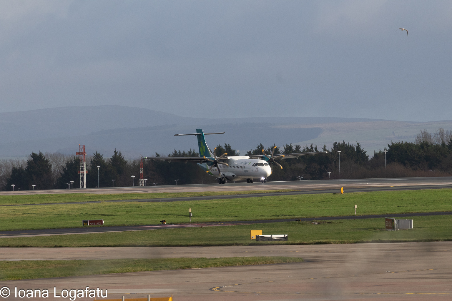 Plane lands on green runway, cloudy skies