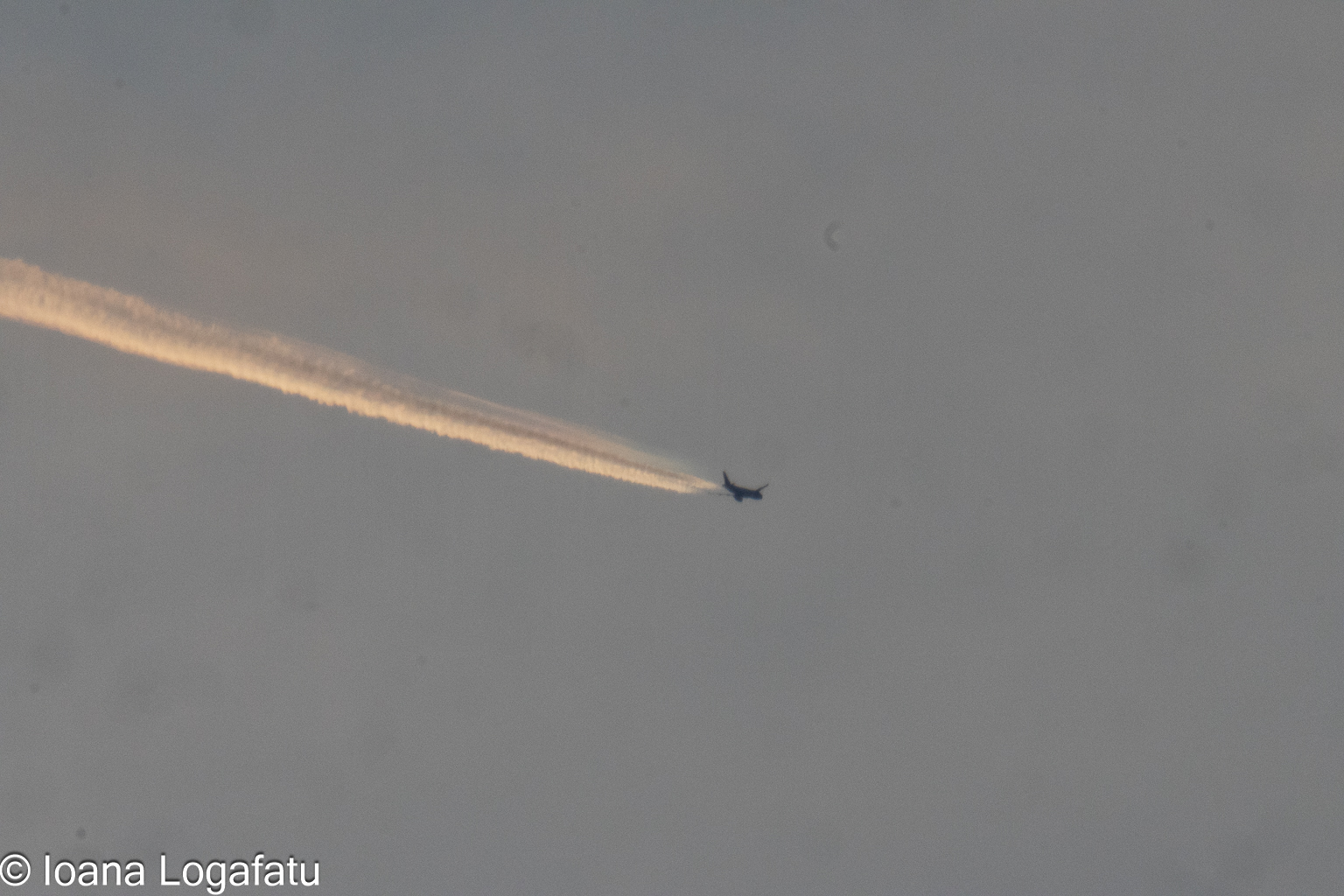 Jet stream painting the sky at dusk near the city