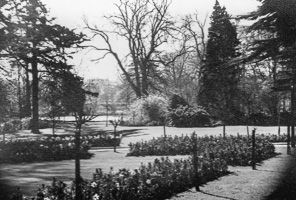 Peaceful garden landscape with trees and flowers