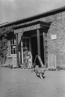 Woman and dogs outside Priory Park cafe