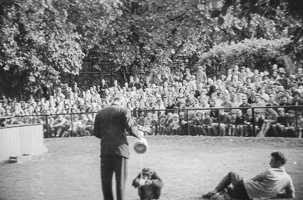 Audience gathers for monkey performance in park