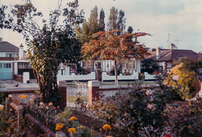 Charming suburban garden with blooms