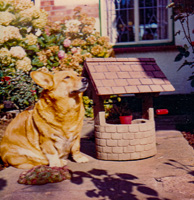 Playful corgi by a garden well under sunlight