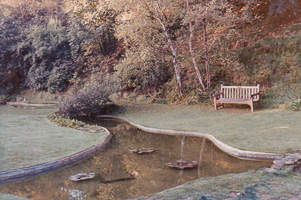 Serenity by the pond in a peaceful garden setting