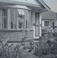 Cat relaxing near flower garden by the house