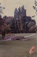Serene park with a stone bridge