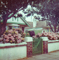 Charming house adorned with blooming flowers