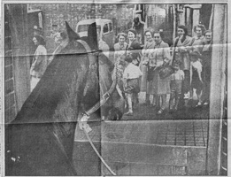 Group of women and children near a horse in town