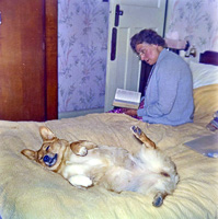 Elderly woman reading while dog relaxes on bed