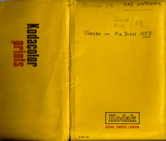 Bird watching memories captured in a vintage album