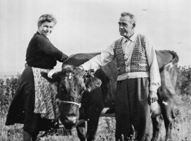 Couple interacting with cow in rural setting