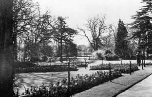 Serenity in a quiet garden during springtime