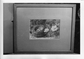 Nest with eggs and blooming flowers