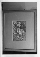 Floral elegance displayed in an artistic frame