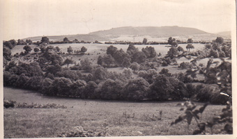 Lush hills in a peaceful landscape