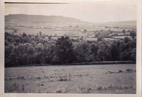 Summer hills and lush greenery