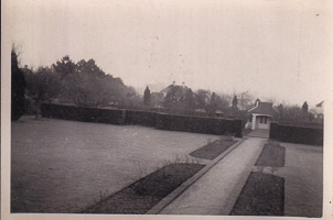 Serene garden view during a misty morning