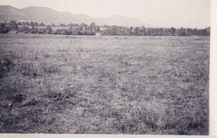 Expansive field under a cloudy sky near mountains