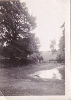 Serene landscape with water reflection at dusk