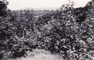 Nature's embrace above the quiet village hills