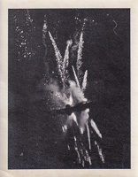 Fireworks light up the night sky over calm waters