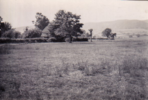 Green meadow near distant hills in early morning
