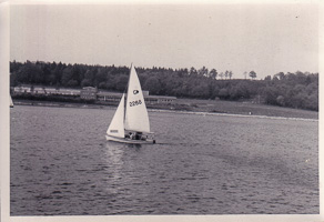 Sailing on calm waters with a backdrop of trees