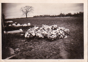 Flowers laid gently on a grave in a quiet field