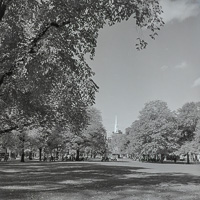 Sunny autumn day in the park