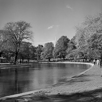 Tranquil park reflections under blue skies