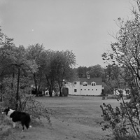 Charming nature retreat in the countryside