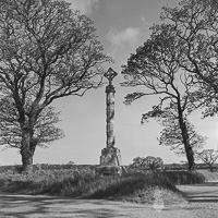 Historic cross stands tall amidst ancient trees