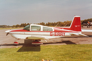 Vintage planes on a sunny runway