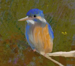 Kingfisher