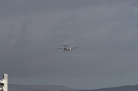 LX-LQJ